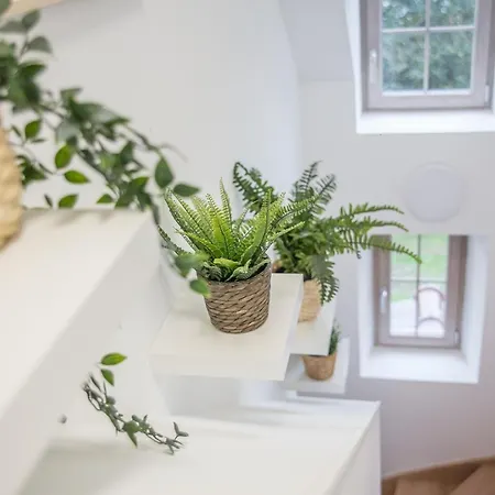 Ferme de la Bertinière *