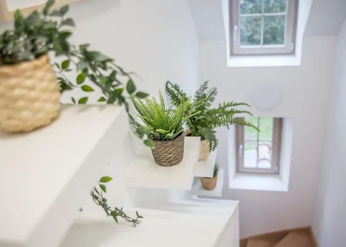 Ferme De La Bertinière *